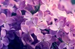 -基耶萨一锤定音，丹麦全面压制加纳夺胜