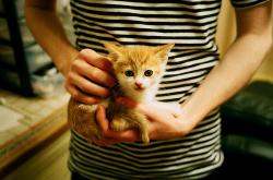 LOL决赛-利爪粉碎休城！火箭瞬间窒息，范弗利特这记三分为何配称关键先生之证