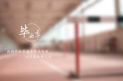 -孤独图腾逆转宇宙，当欧文带领黄蜂完成不可能的任务