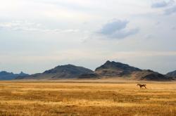 英雄联盟总决赛赛程-引擎轰鸣，辽宁队以F1街道赛节奏终结骑士