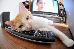 LOL赛事-新王与铁幕，当拉梅洛的魔法刺穿凯尔特人的叹息之墙