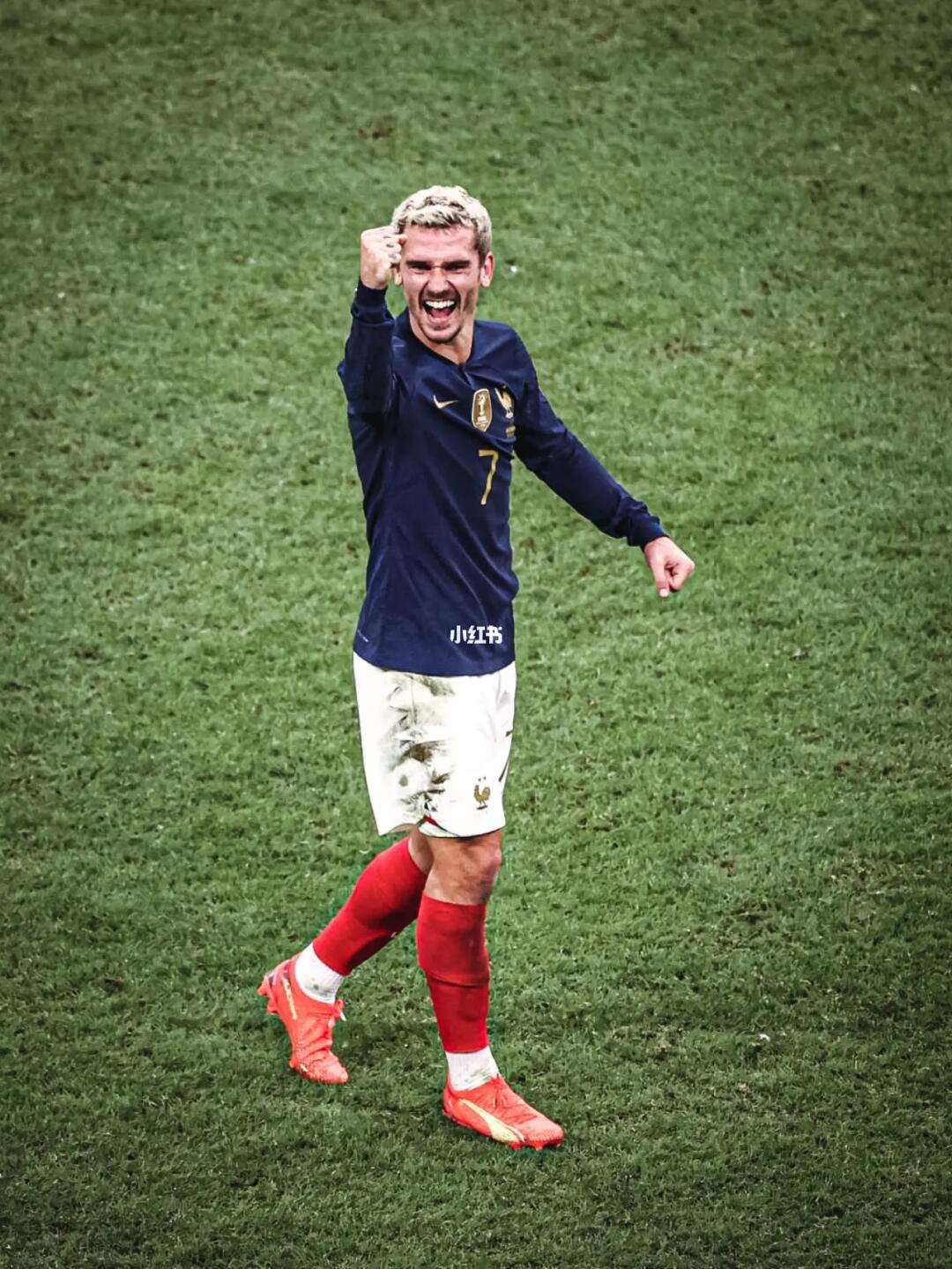 英格兰队力克法国队，奥恰洛夫高光表现的简单介绍