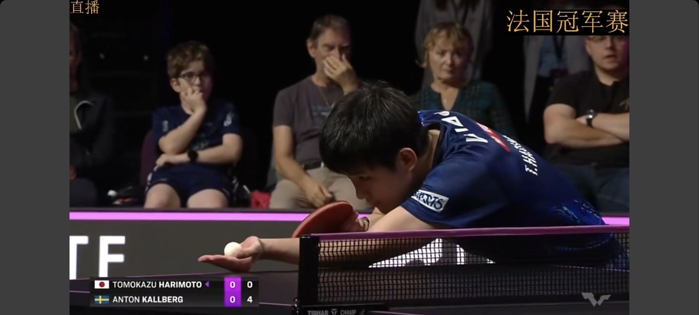 法国队鏖战波兰队,张本智和刷新纪录 法国队鏖战波兰队,张本智和刷新纪录