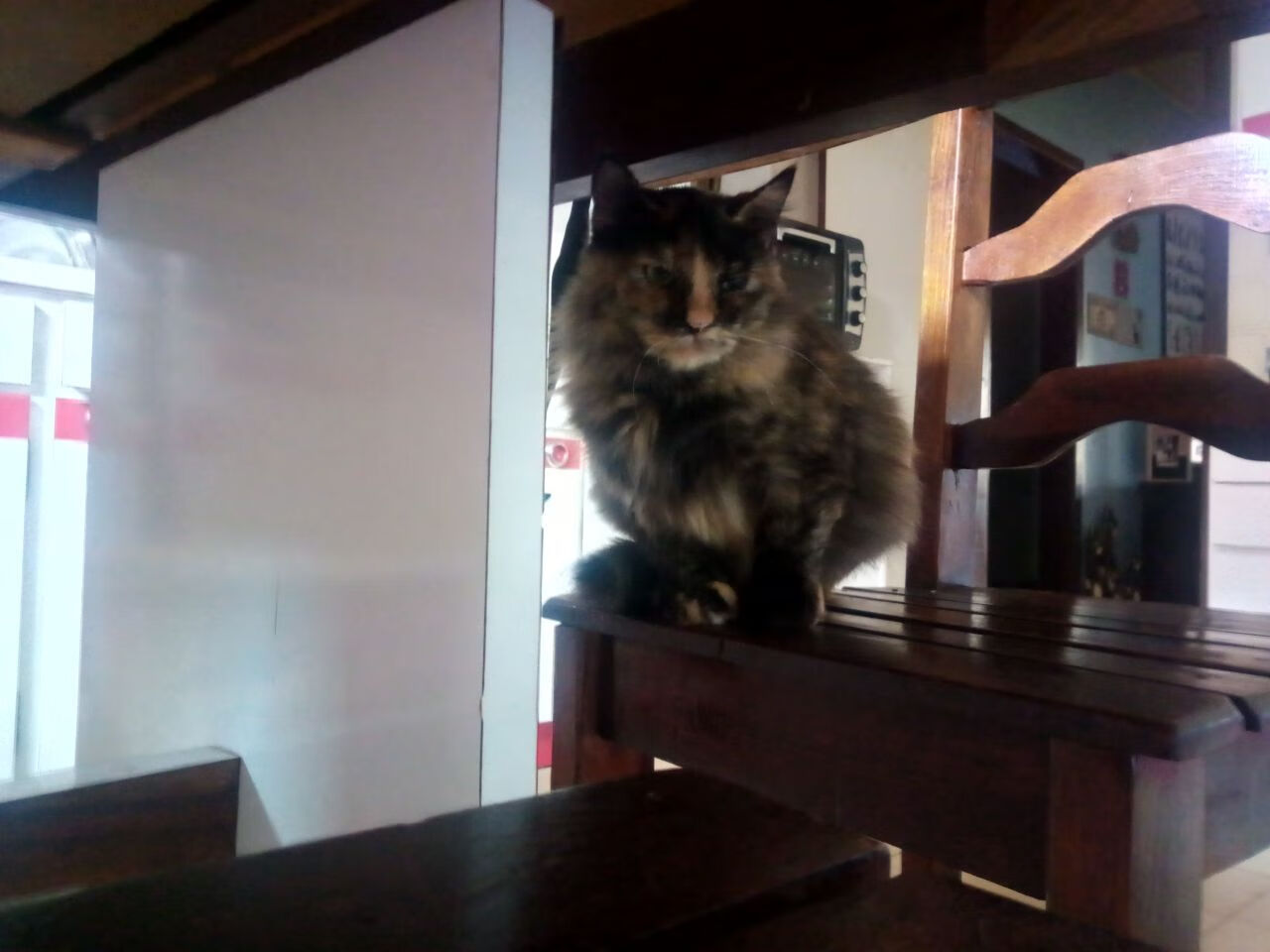 冰与火之歌，戈贝尔擎天柱式表现浇灭快船逆转焰火