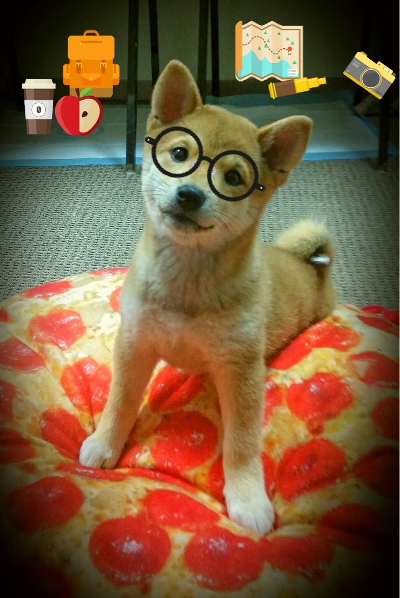 绿茵双城记，奥斯梅恩与葡萄牙人的淘汰赛咏叹调