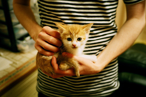 利爪粉碎休城！火箭瞬间窒息，范弗利特这记三分为何配称关键先生之证