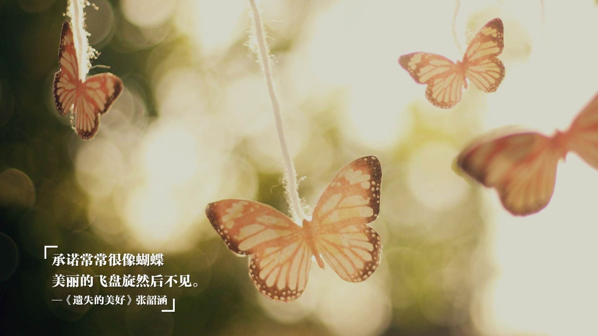 冰火协奏曲，当北欧风暴点燃加勒比海之夜