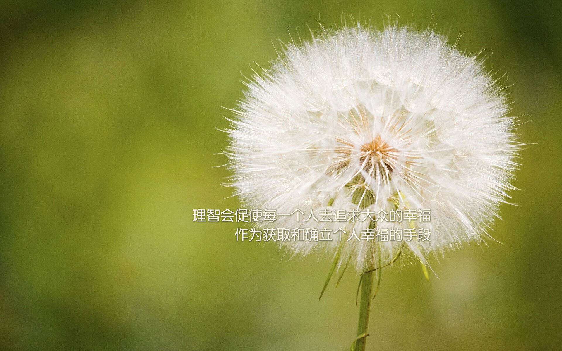 街道赛法则,生死战场上的每一次变线,都是超越命运的进站窗口