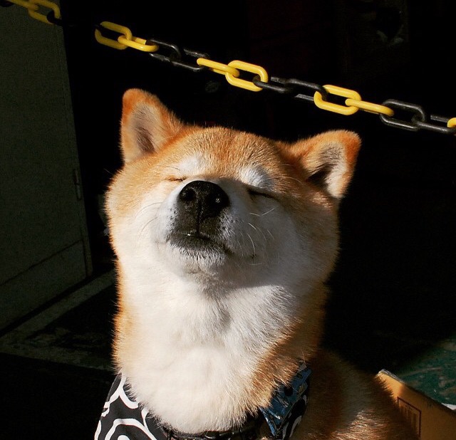 篮球狙击手跨维降临,英超争冠战遭强行终结