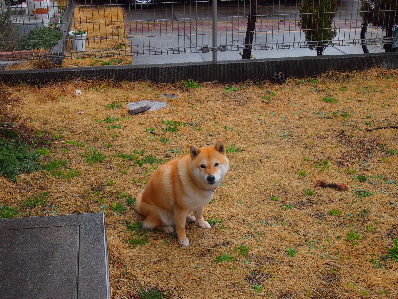 那一次，天使降临北非，当迪马利亚在阿尔及利亚的土地上主宰皇马