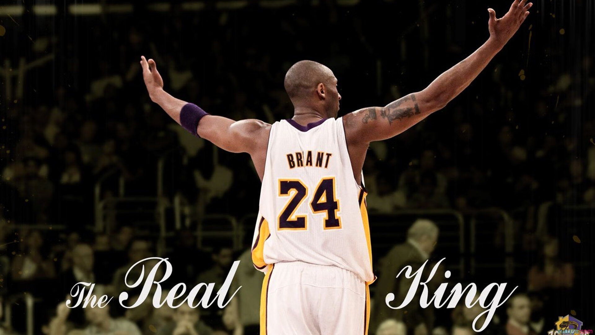 四十八小时内的双重奏,公牛与欧文的平行时刻