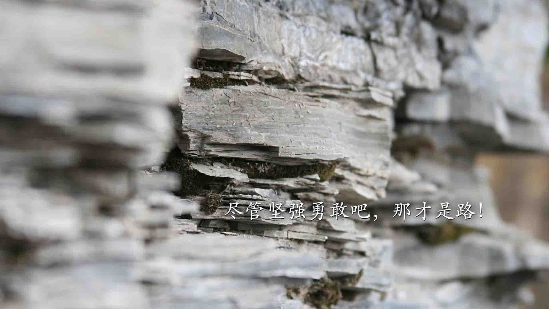 青春风暴席卷萨城！杰伦格林42分神迹+火箭铁血防守双核驱动擒国王