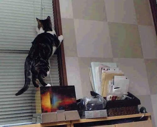 深红海洋与黄金黎明,杜兰特在年度焦点之战之夜的自我救赎