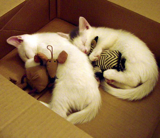 阿尔瓦雷斯灵光撕裂铁桶阵，巴萨窒息掌控碾过塞维利亚