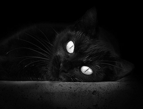 摩纳哥血拼安哥拉,德布劳内扮演关键先生