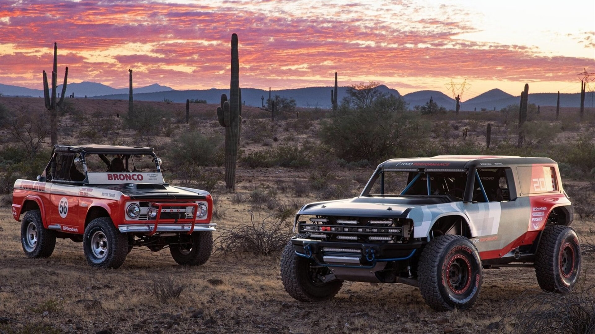 西域铁骑VS首都魔法，当草原雄鹰遇上巫师之杖