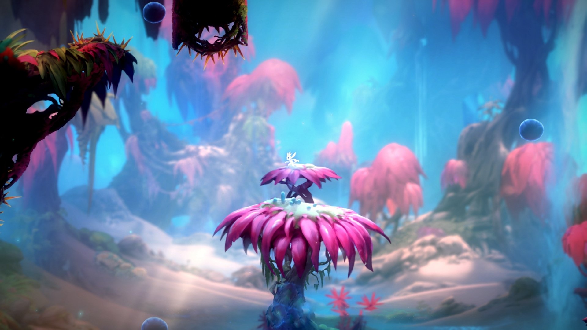 鹈鹕单节火力全开轰垮新疆,布克从低谷到救赎者