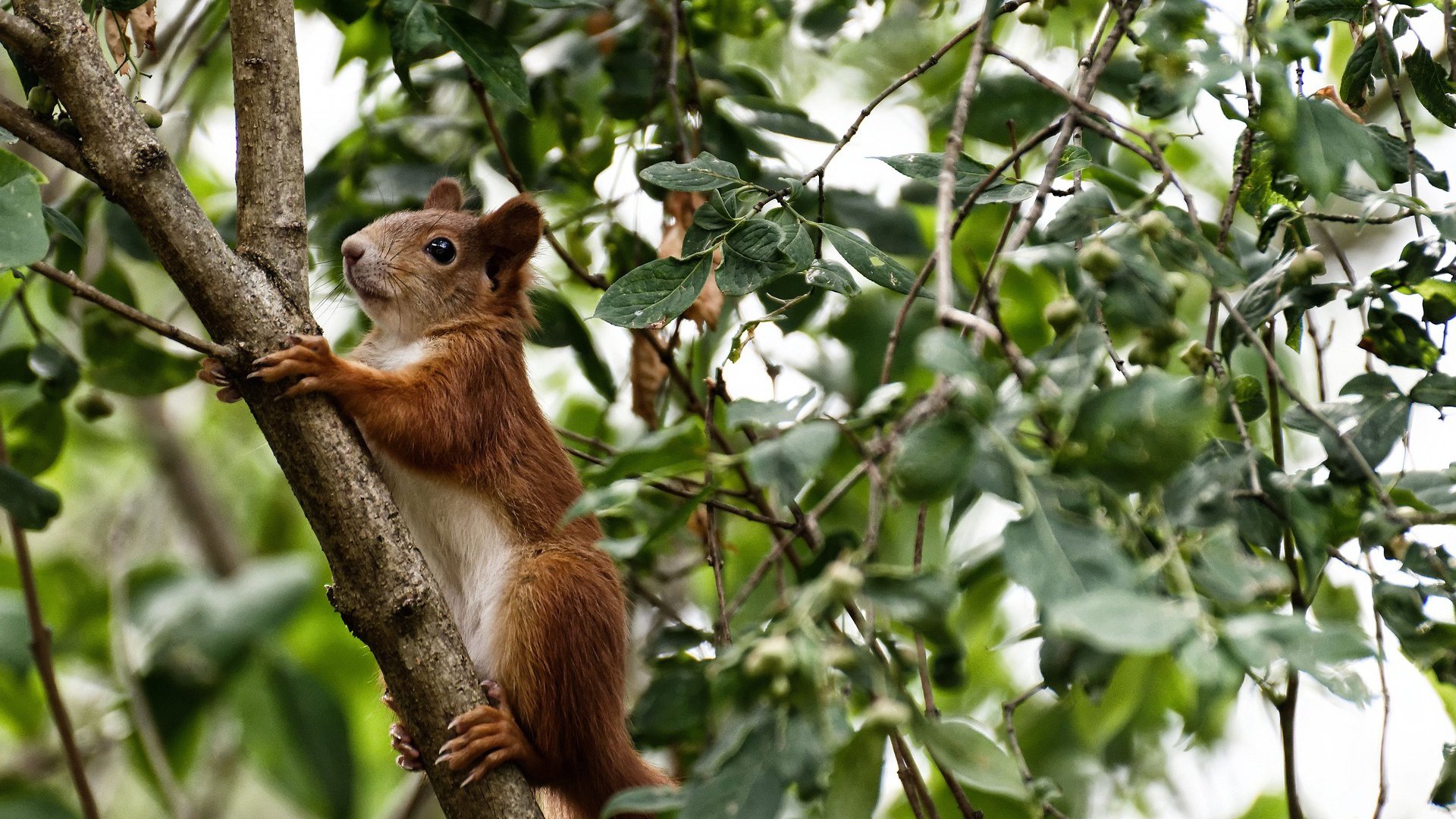 血拼精神与存在感艺术，从深圳队的坚韧到贝恩的闪耀