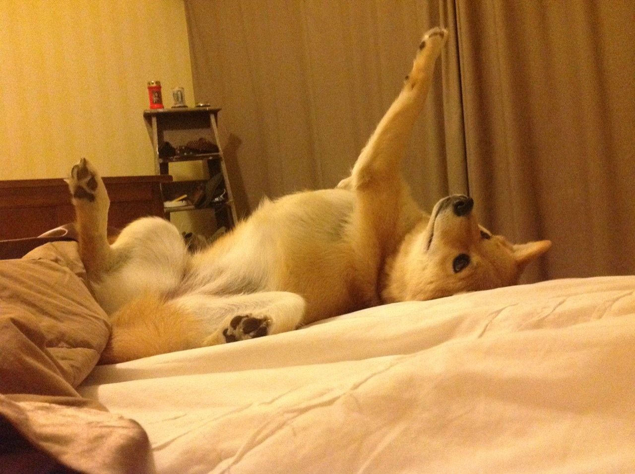 个人英雄主义终结比赛？马刺用团队公式给辽宁上了一课，霍勒迪最后一投只是团队闭环的句点