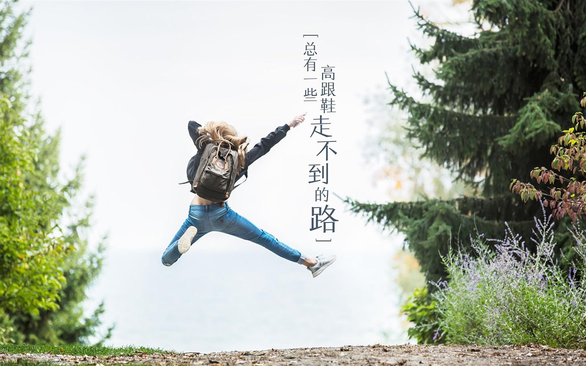 极速与节奏，当F1冠军之夜遇见东契奇的巨星时刻