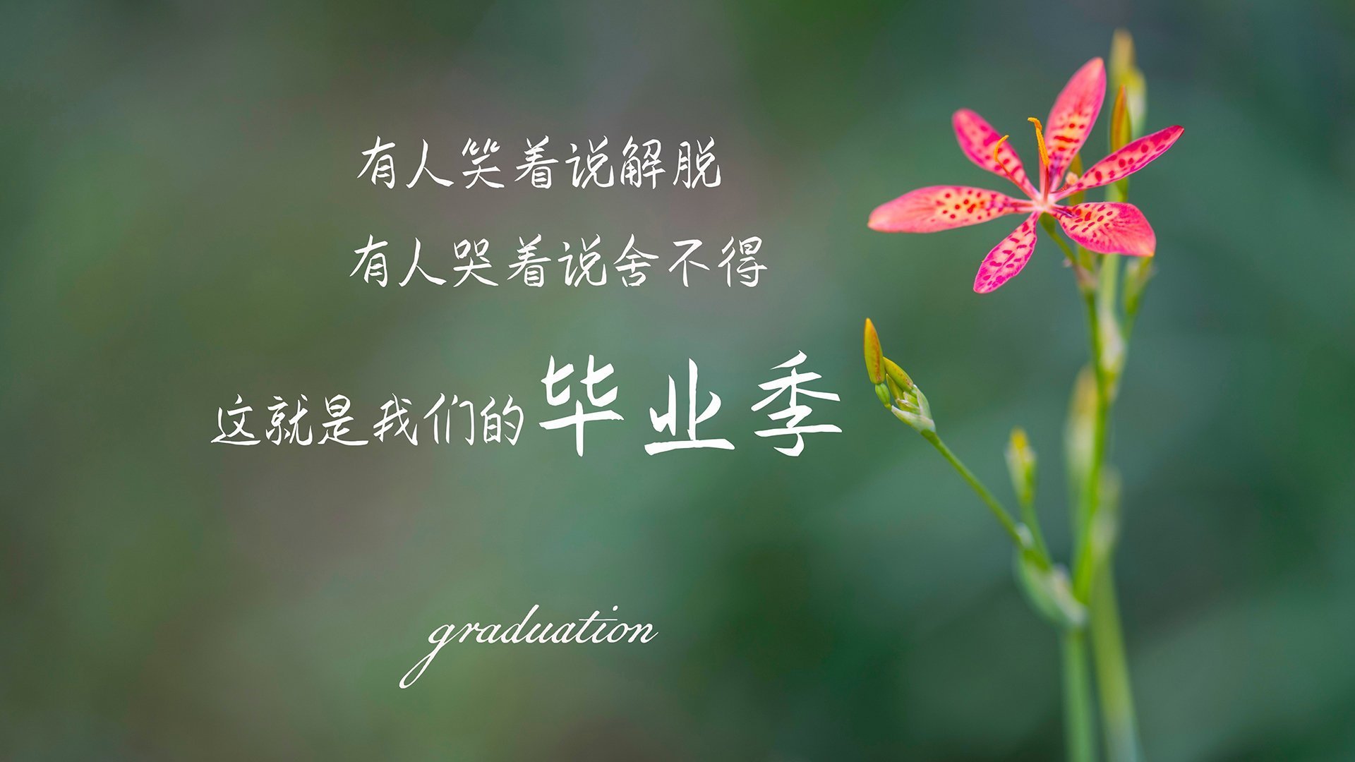 蓝色与红色的宿命对决，2026世界杯H组，加维一剑封喉，意大利险胜秘鲁
