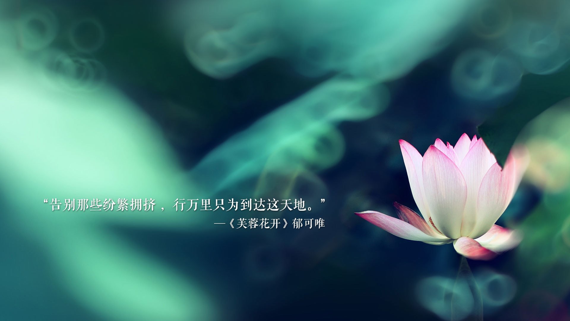 太阳旗与桑巴的裂痕,2026世界杯B组焦点战,日本横扫巴西,穆西亚拉如何重塑足球秩序